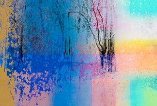 Forest #6