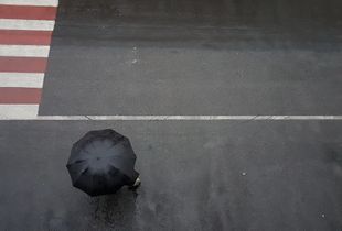 after the rain