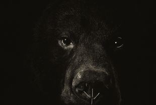 © Lori Pond