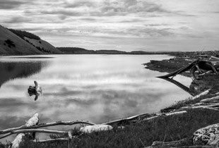 Morning Reflection