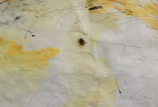 A FLY ON THE PAINTING