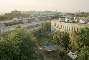 63rd and 64th Street Community Garden, Sunset Park, Brooklyn