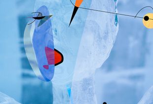 Ice_Miró’s graphics_life!