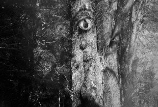 whatever you do I'll be watching you