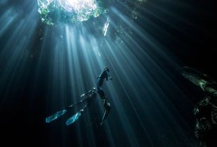 Dancers of the light