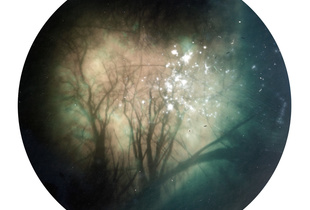 Tin-can Firmament: North 50° 37 22″, East -04° 64′ 34″ (30/09/12 - 12/01/13)