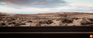 Road Trip