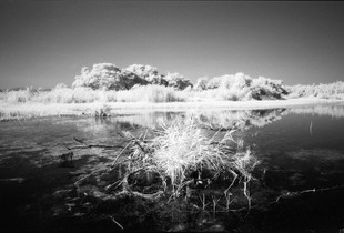 Mother Lake in White #1