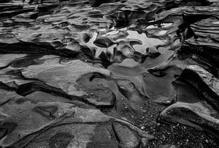 Nonsuch Shale