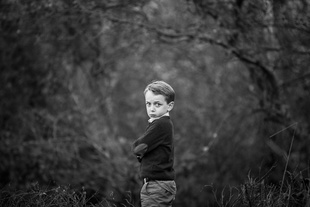 To the Woods