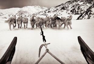 The Ride