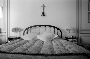 Eleven brothers from the same bed