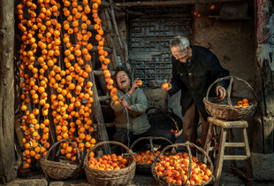 Another permission harvest year