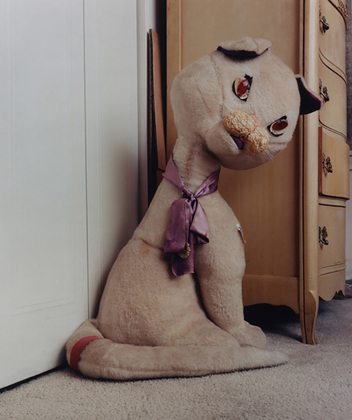 Cat with Purple Eyes, 2001