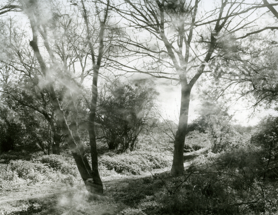 Elthorne Rough  #11