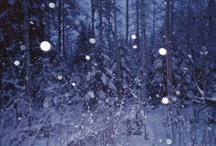 Winterstanders 01