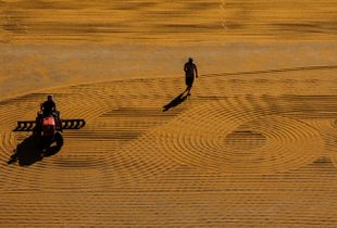 wheat dryers