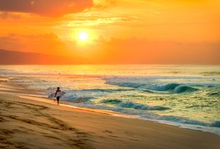 Surfin' USA