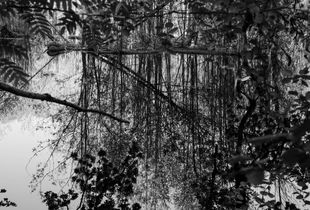 Reflections I