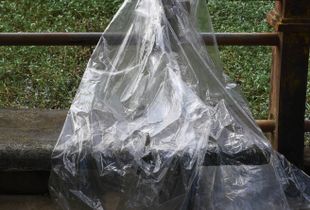 Ghost Portrait