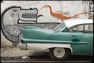 'Habana, Dragons'