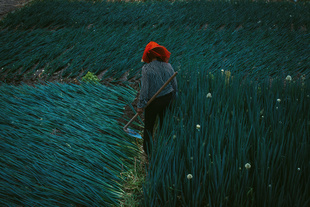 Alone