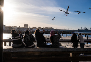 Pier 39