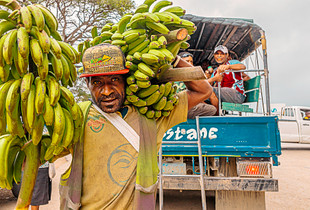 A Banana Ban