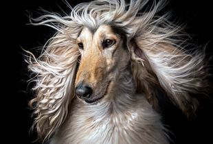 Glamorous!