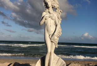 THE VENUS PROJECT