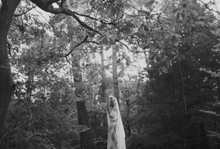 Performance of a Dream I