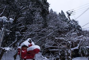 Tengu