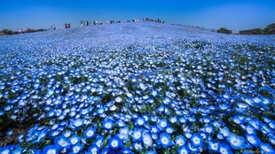 Blue heaven