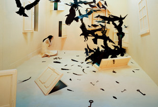 Black Birds