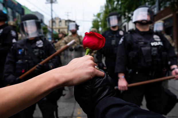 Rose