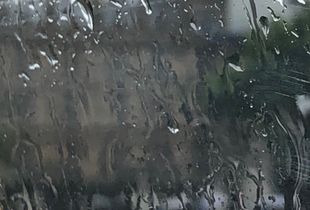 Through the taxi darkly