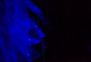 Motion afterimage #1