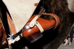 Spur and shiny boot