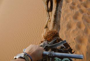 Sahara Textures