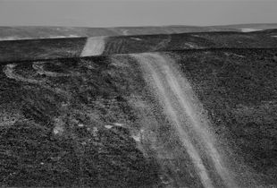 Negev Desert