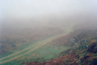 From the Top