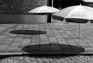 Parasols