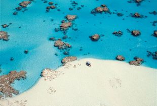Lost in the lagoon
