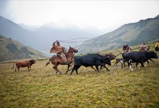 Cowboys of South America