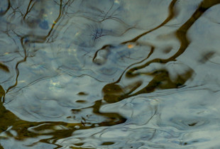 Abstract