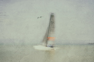 'painterly.sailing.experience', 2015