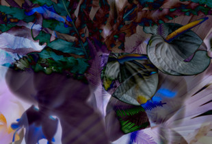 Untitled (0105-5520_0105-5462_0105-5464)