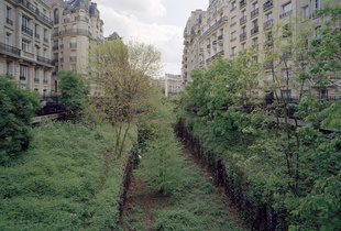 XVI arrondissement 113a