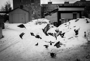 Winter of Murmansk Russina