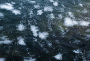 Inspired by the waves